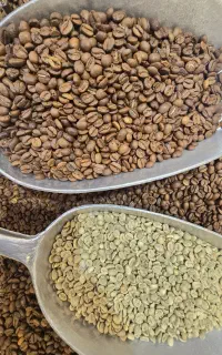 تولید وپخش قهوه عمده وخرده فروشی صدرا فاز۱