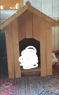 کلبه چوبی سگ یا گربه محکم