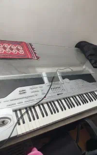 ارگ پیا۱