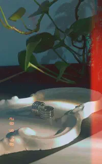 بدیجات