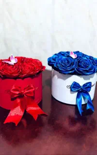پول ارایی