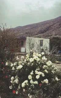 زوج باغبان