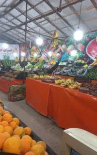 نیروی کار وسط کار جهت چیدمان میوه وتخلیه بار