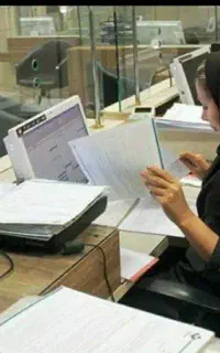 بیمه ایران زمین