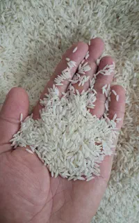 برنج طارم صدری درجه یک