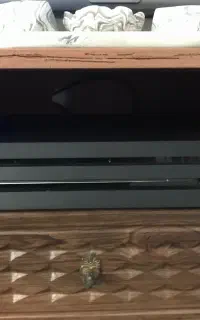 PS4 pro کپی خور یک ترا