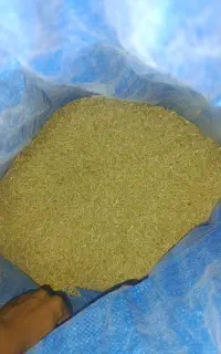 فروش جو