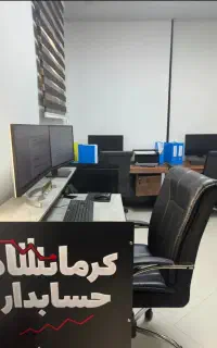 ارائه خدمات مالیاتی، حسابداری و حسابرسی