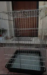 قفس کاسکو