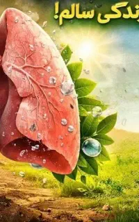ترک سیگار با روشی کاملا گیاهی و صدرصد تضمینی