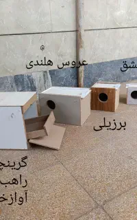 ساخت انواع لانه پرنده به سفارش مشتری