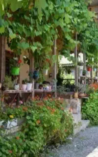 تور گردشگری سفیر