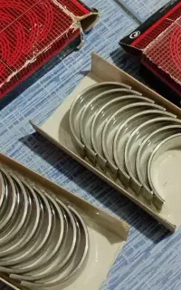 یاتاقان ثابت و متحرک زانتیا موگول