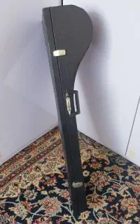 کیف جعبه هارد کیس سه تار
