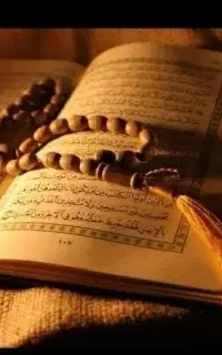 کتاب و فالل