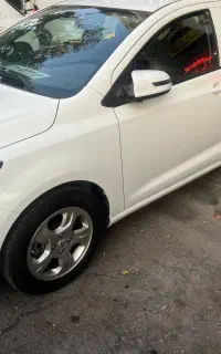فروش شاهین کم کار خانگی
