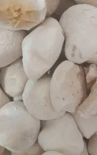 کشک محلی اعلا
