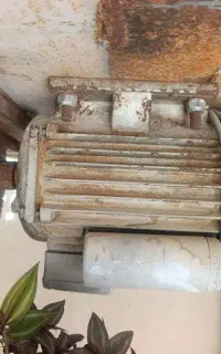 دینام