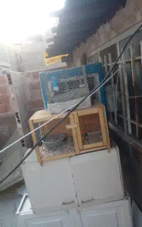 حالا هرجور راحتی