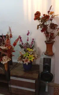 گل و گلدان