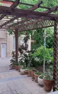 ساخت، تالار انگور، ثبات، آلاچیق
