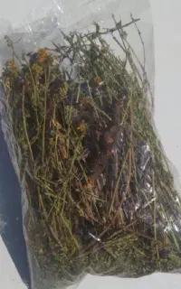 عرق تشنه دارو