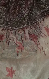 پرده سالم ونو