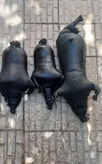 هیزه مشک آب و دوغ (کنه)