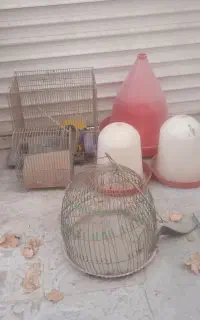 قفس .آب خوری