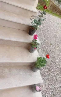 نظافت راه پله پارکینگ ویلاآپارتمان تخصصی