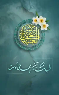 کالسکه بچه رایگان