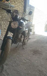 زونتس 230 مدل ۱۴۰۲ کمکارکرد