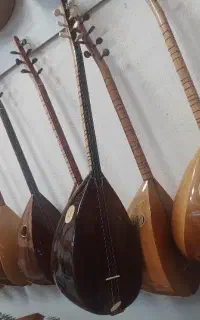 فروش تخصصی باغلاما