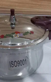 زودپز و آرام پز