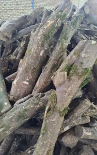 خریدار چوب