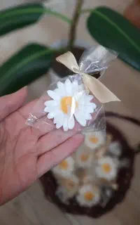 گیفت شمع عقد