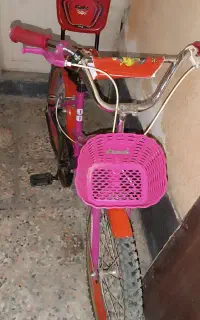 دوچرخه سالم بیست