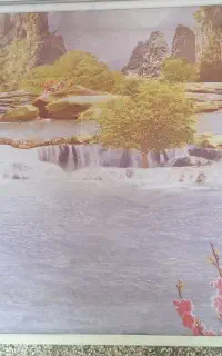 زبرا