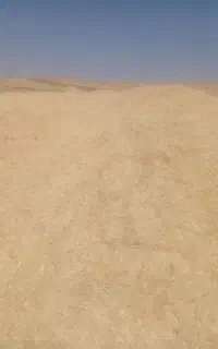 کاه