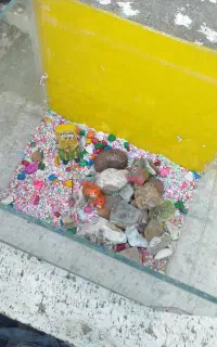 اکواریوم