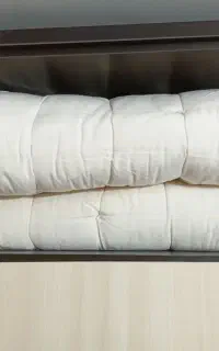 ۲عدد تشک پنبه
