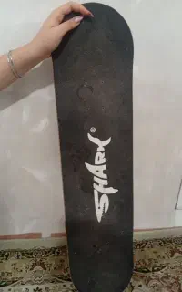 اسکیت برد