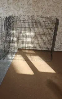 باکس سگ