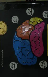 هوش کمپلکس هشتم و نهم