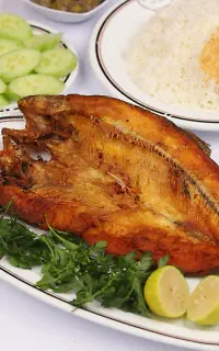 انواع غذای ایرانی وفرنگی درمحیطی کاملا بهداشتی