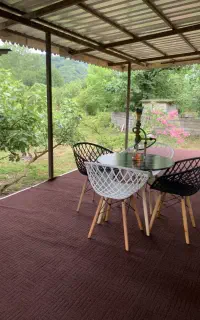 خانه ویلایی جنگلی همراه با اسب سواری در دل جنگل