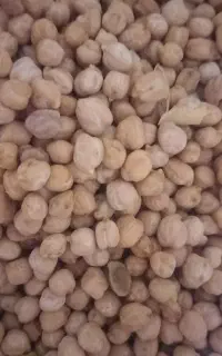 نخود