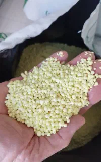 کود اوره با پوشش گوگردی