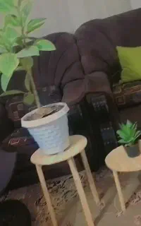 ...پایه