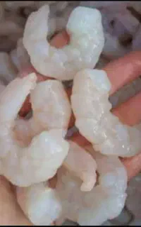 میگو تازه